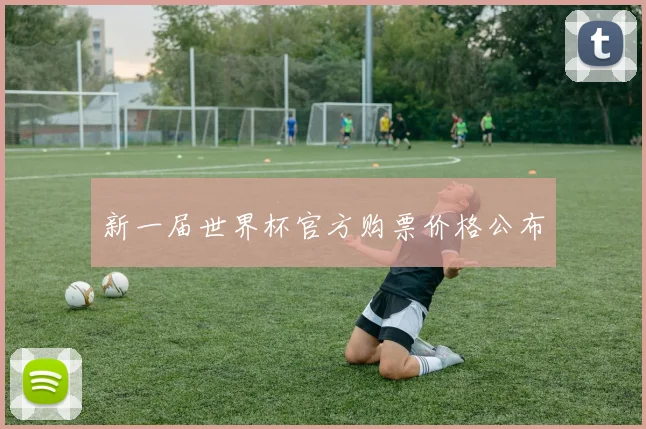 新一届世界杯官方购票价格公布
